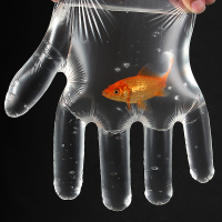 加厚一次性手套餐饮美手膜食品吃龙虾透明塑料PE薄膜染手套