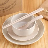 小麦秸秆碗筷勺套装家用日式米饭碗吃饭碗勺可爱儿童餐具防摔碗