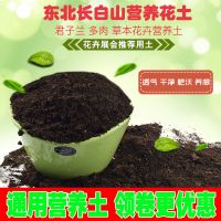 花土营养土10斤花肥种植土多肉盆栽蔬菜土通用花肥种菜绿萝土批