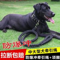 大型犬狗链子大狗牵引绳带狗绳狗项圈阿拉斯加德牧金毛狗狗牵引绳