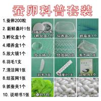 春蚕夏蚕种蚕籽蚕卵桑叶活蚕天然彩色蚕宝宝金丝蚕学生科普套装