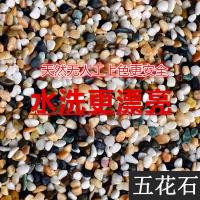 鱼缸装饰彩石子彩石头白石子花盆盆栽多肉铺面园艺族箱造景石头