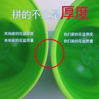 [10个9块9立减一元]花盆塑料特大号加厚绿萝多肉花盆批
