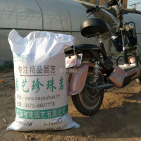 园艺珍珠岩种花大颗粒多肉土花生芽苗菜营养土大种植苗圃栽培