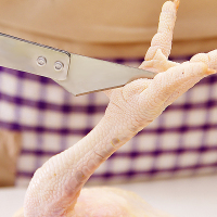 家用拔毛镊子猪毛夹毛器去鸭毛夹子鸡毛神器杀鸭子拔毛器拔毛钳子