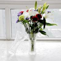 透明玻璃插花瓶 客厅装饰花瓶 富贵竹百合花瓶 干花花瓶