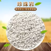 珍珠岩园艺大颗保温粒养花土种植土多肉兰花营养土基质花生芽种植