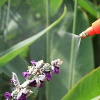 【3L、2L、1.5L、0.8L容量可选】气压浇花洒壶园艺工具手动喷壶