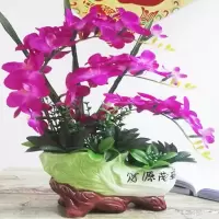 仿真花蝴蝶兰红掌桌面盆景室内装饰摆放仿真花套装苍兰花装饰插花