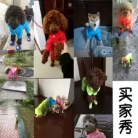 狗狗雨衣泰迪衣服防雨披比熊四脚狗狗衣服春秋雨衣宠物衣服