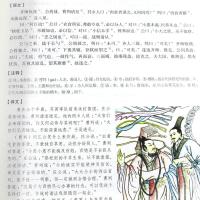 精装彩图425页 古文观止正版全本全注全译 国学经典古文 古诗文