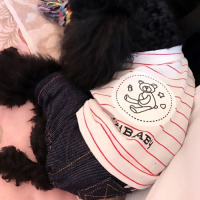 狗狗衣服宠物泰迪斗牛四脚衣服幼犬小型犬可爱小狗衣服秋冬装夏装