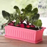 阳台室内蔬菜种植大菜盆塑料花盆种菜盆长方形特大号加厚养花种菜