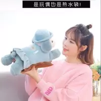新款防爆热袋暖手宝充电学生韩版卡通可爱毛绒双插手已注