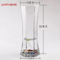 六角透明玻璃花瓶园艺生培植物富贵竹花瓶花盆器皿摆饰