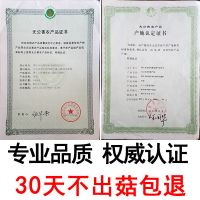 [两头出菇5斤平菇大菌]蘑菇种植菌种种植桶高产菇种大菌