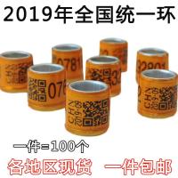 信鸽足环2019年全国统一环不带证鸽子用品邮信鸽子脚环用具鸽环