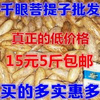 【千眼菩提】千眼菩提子原籽红绿菩提子原料原果大果老果