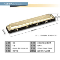 口琴24孔复音c奇美口琴初学者儿童入学生教学练习成人乐器