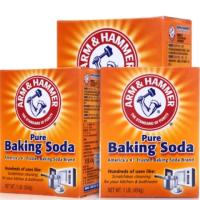 [美国进口]艾禾美小苏打粉食用去污烘焙清洗果蔬等多用途清洁剂 454g盒装