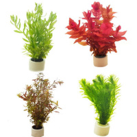 鱼缸造景植物鱼缸装饰沉木族箱造景懒人真