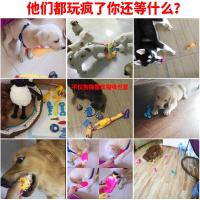 狗狗玩具耐咬磨牙泰迪金毛小狗玩具声训练球尖叫惨叫鸡宠物用品