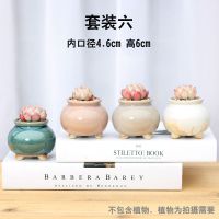多肉花盆陶瓷简约创意韩式肉肉盆器粗陶素烧拇指盆套装组合盆特价