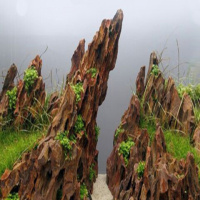 鱼缸装饰造景天然松皮石 龙虎石 造景石假山石头鱼缸造景