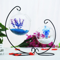 斗鱼缸玻璃小生态悬挂鱼缸装饰景观透明小鱼缸迷你缸办公桌面鱼缸