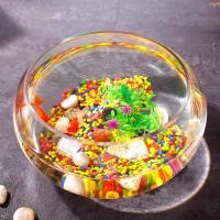 透明玻璃圆形大号金鱼缸乌龟缸中型桌面创意鱼缸族箱古缸系列