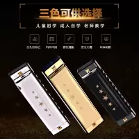 口琴布鲁斯10孔初学专业演奏 学生全音阶C口琴[ 送教材书]