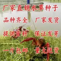 [买5斤送1斤]鱼塘种子伊乐藻轮叶黑藻小龙虾鱼蟹养殖籽