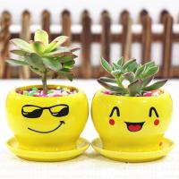 多肉仙人掌球带花盆土多肉植物盆栽花卉室内培绿植物组合小盆景