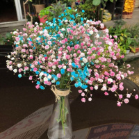 蓝色满天星干花花束勿忘我真花自然风干客厅摆件装饰含玻璃花瓶