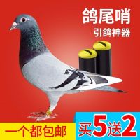 [买3送1]招引鸽子鸽哨子尾哨尾巴风哨高飞超轻信鸽鸽子用品用具