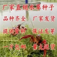 [买5斤送1斤]鱼塘种子伊乐藻轮叶黑藻小龙虾鱼蟹养殖籽