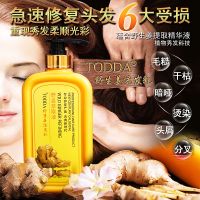 760ml生姜洗/护素 套装/单瓶多选去屑止痒洗露控油洗头膏