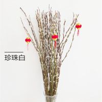 年宵色彩银柳真柳条制作鲜枝银柳干花彩色柳枝真花多色室内装饰花