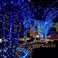LED节日灯彩灯圣诞装饰灯满天星户外防小灯串绕树亮化工程灯