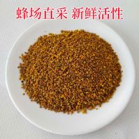 18年荞麦花粉喂蜜蜂养蜂喂蜂专用饲料养蜂蜂粮500g邮