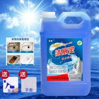 洁厕灵蓝泡泡厕所瓷砖除臭尿垢洁厕液洁厕剂马桶清洁剂