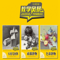 石膏几何体素描静物色彩静物素描几何形体系统训练教学风暴