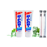 [日本进口][日本]狮王花王牙膏口腔防蛀牙齿 清爽薄荷去牙渍165g