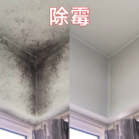 除霉剂墙体墙面白墙面去污卫生间厨房墙壁玻璃胶霉斑多功能清洁剂