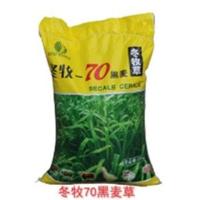 邮冬牧70黑麦种子 高产冬牧种子 猪牛羊兔鸡鸭鹅鱼籽邮