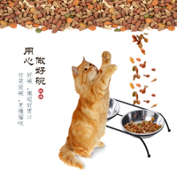 宠物猫碗狗碗不锈钢猫食盆猫粮碗架碗猫咪饭盆陶瓷双碗猫咪用品