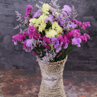 [买1送1买2送2]云南勿忘我干花花束真花家居摆设干花晶干花