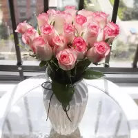 [坏单赔]云南昆明鲜花基地玫瑰20支 生日花束百合空运邮