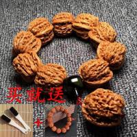 [买一送二]狮子头核桃 文玩核桃机刷浆 手串 把玩核桃 手把件