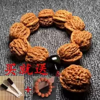 [买一送二]狮子头核桃 文玩核桃机刷浆 手串 把玩核桃 手把件